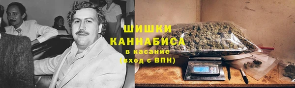 соль ск Алексин