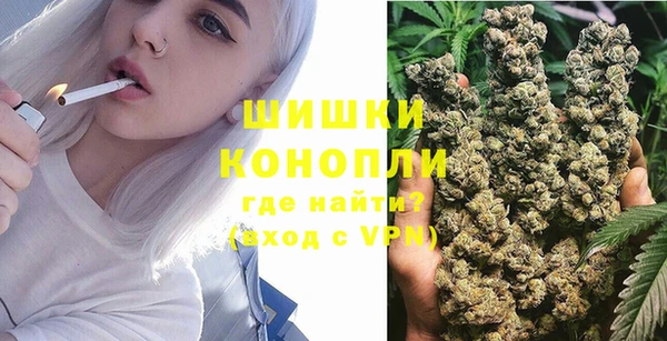 соль ск Алексин