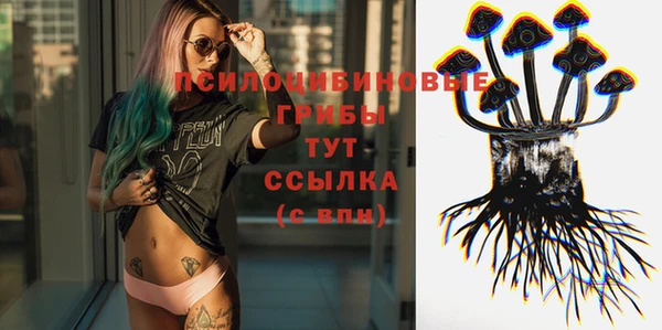 прущая мука Алзамай