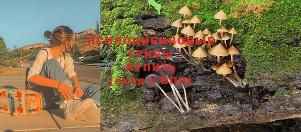 прущая мука Алзамай